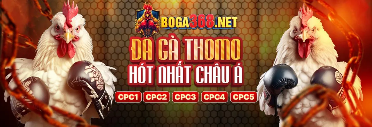 QT99 Link Mới 2026 - Phân Tích Chuyên Sâu Cá Cược Thể Thao & Ưu Đãi Độc Quyền!
